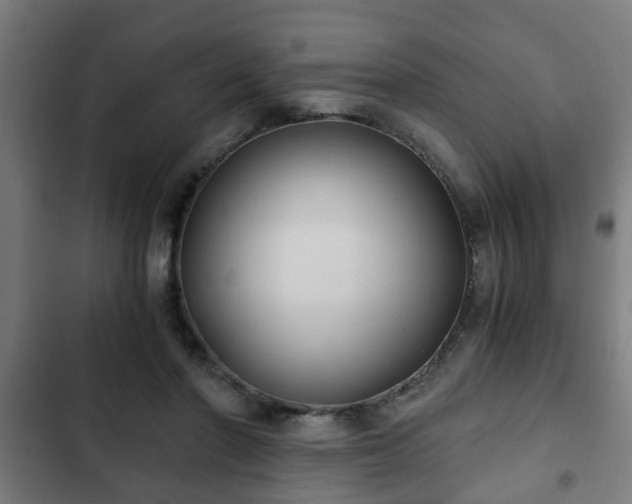 X0000103130406200808291320