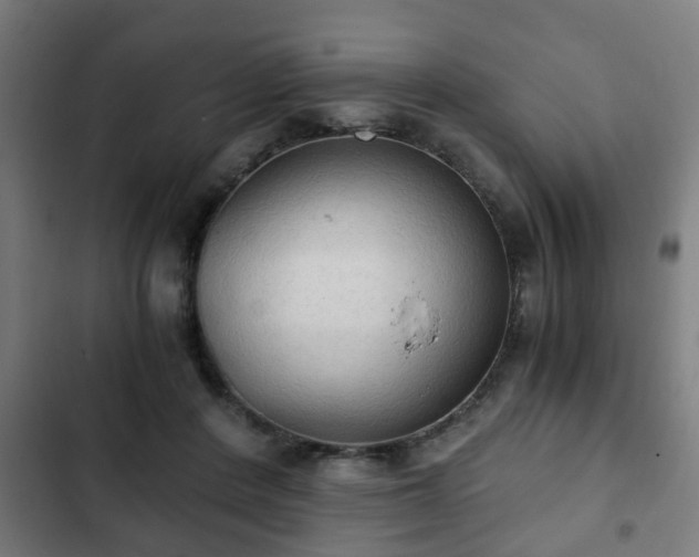 X0000103130408200808291320