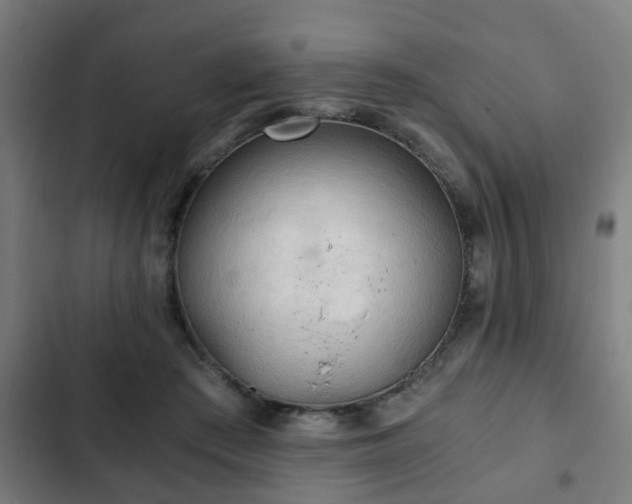X0000103130409200808291320