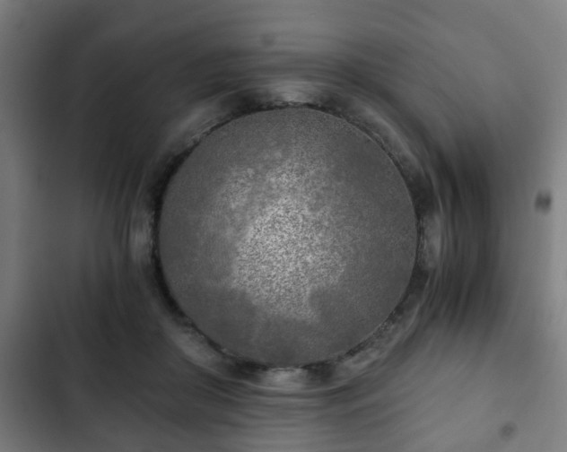 X0000103130410200808291320