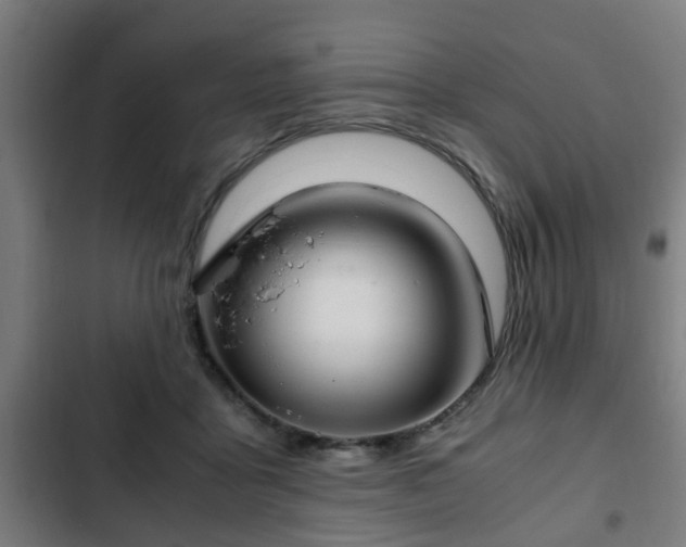 X0000103130411200808291320