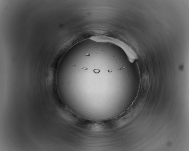 X0000103130412200808291320