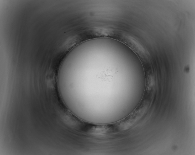 X0000103130414200808291320