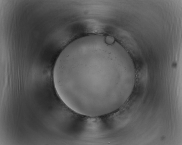 X0000103130415200808291320