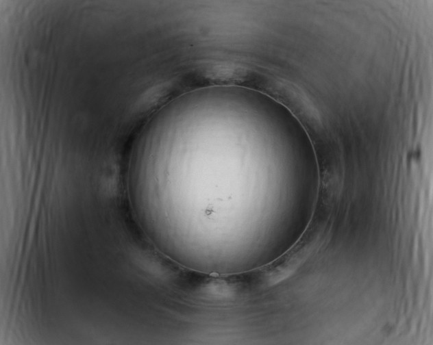 X0000103130416200808291320