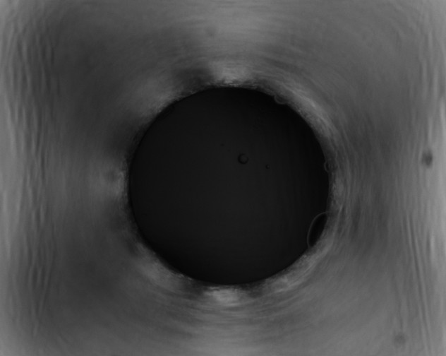 X0000103130417200808291320