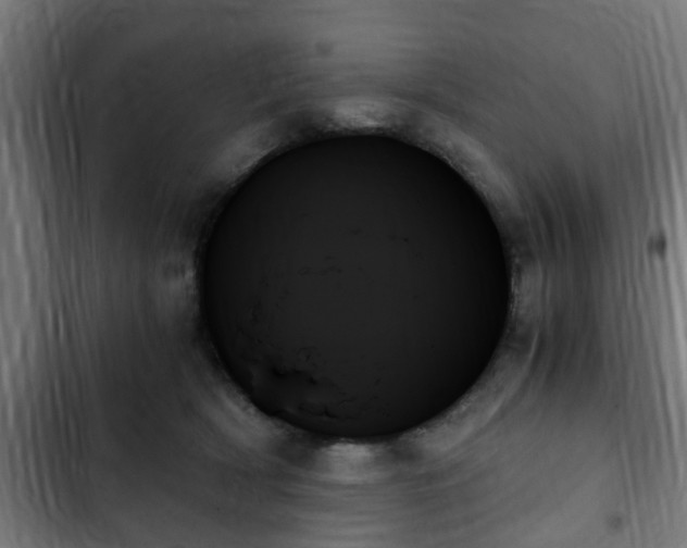 X0000103130418200808291320