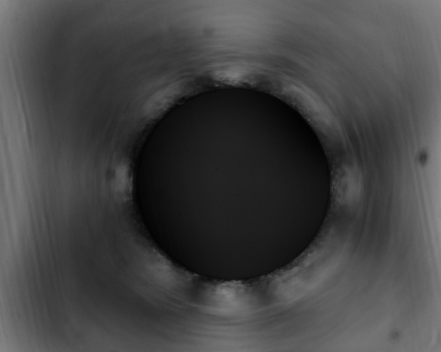 X0000103130420200808291320