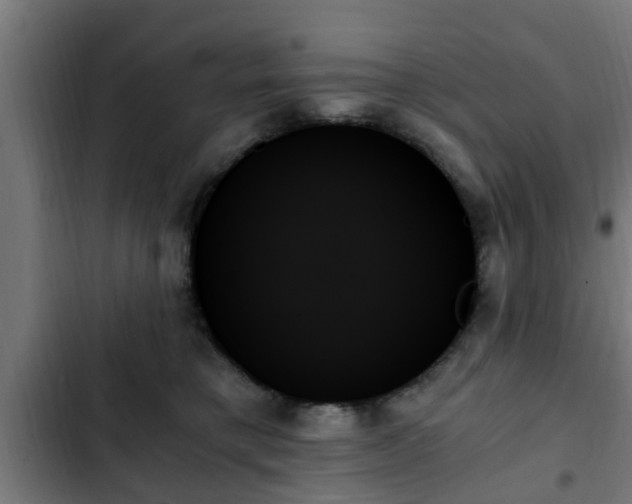 X0000103130421200808291320