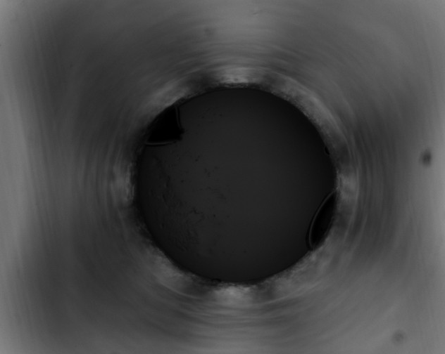 X0000103130422200808291320