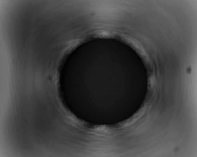 X0000103130423200808291320