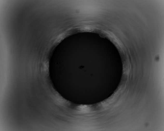X0000103130425200808291320