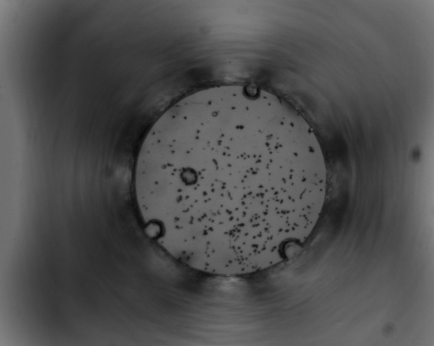 X0000103130427200808291320