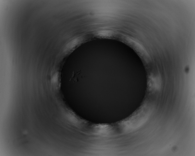 X0000103130428200808291320