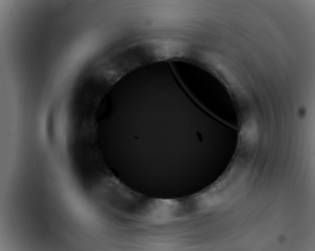 X0000103130429200808291320