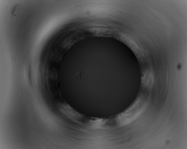 X0000103130430200808291320