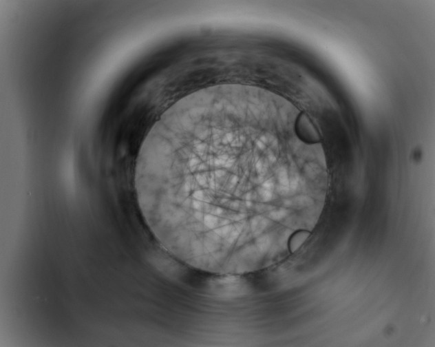 X0000103130431200808291320