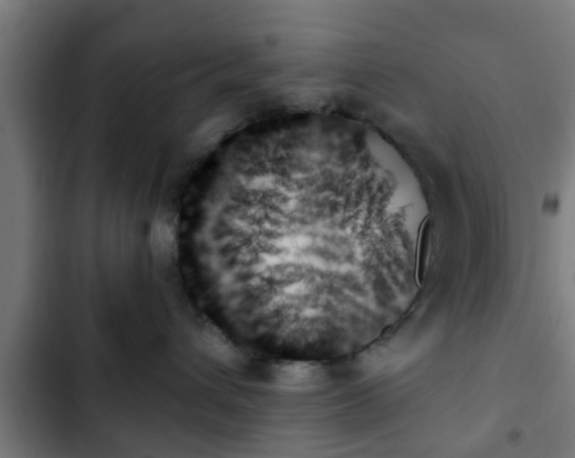 X0000103130432200808291320