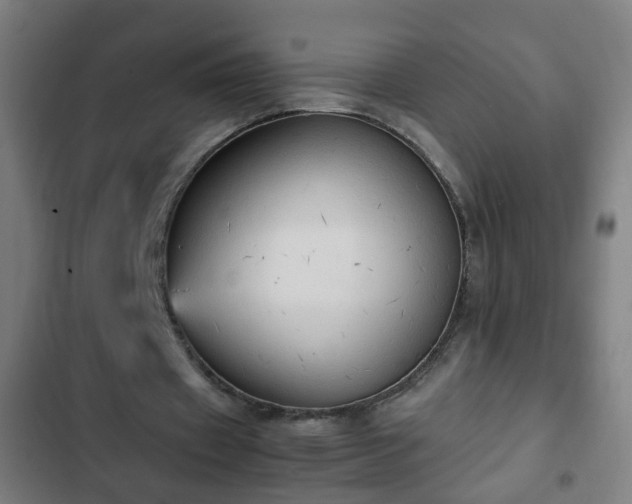 X0000103130433200808291319