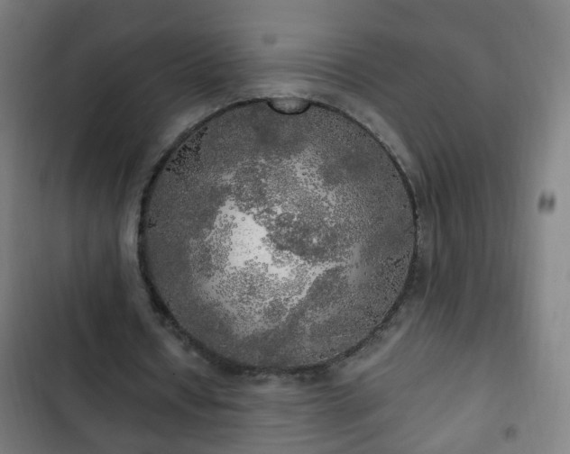 X0000103130434200808291319