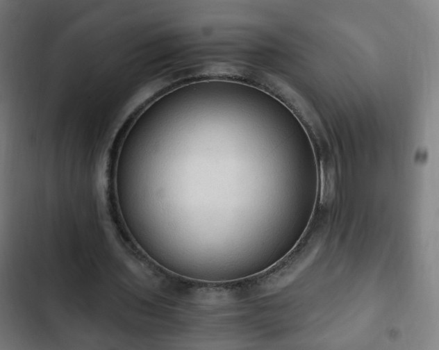 X0000103130435200808291319
