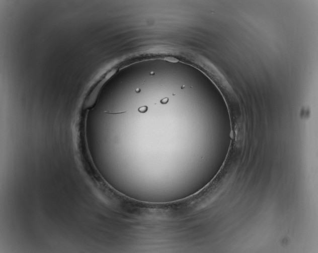 X0000103130436200808291319