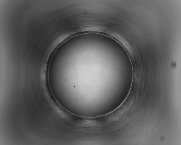 X0000103130437200808291319