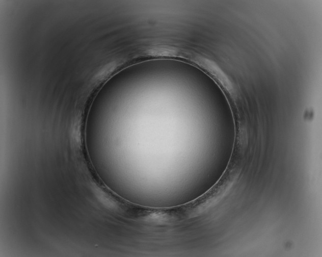 X0000103130441200808291319
