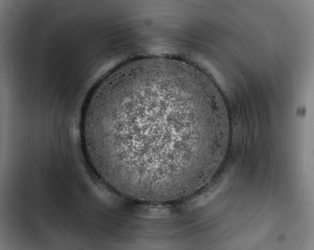 X0000103130443200808291319