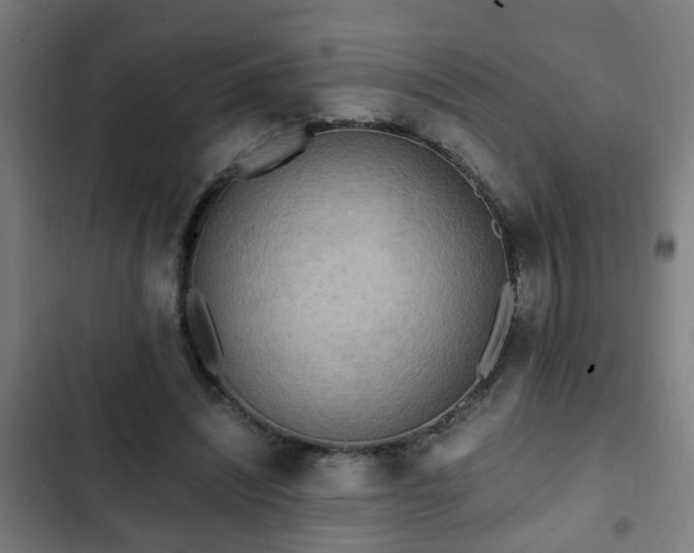 X0000103130444200808291319