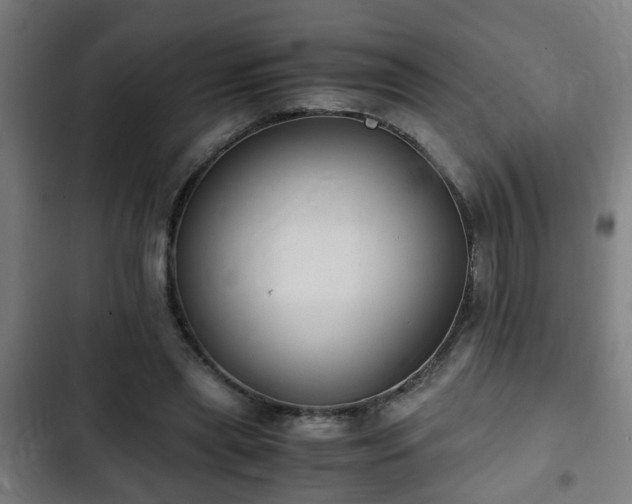 X0000103130445200808291319