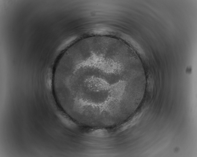 X0000103130446200808291319