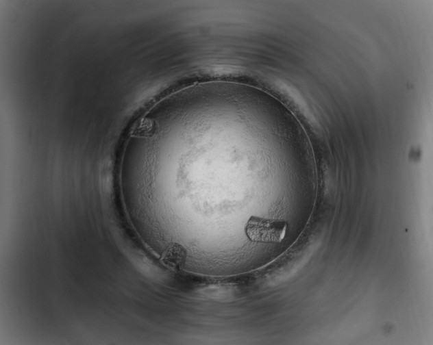 X0000103130447200808291320