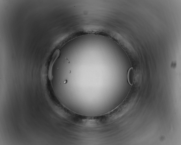 X0000103130448200808291320
