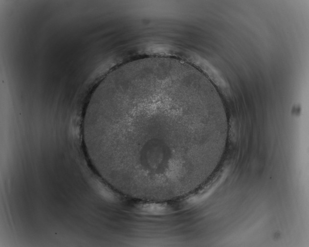 X0000103130449200808291320