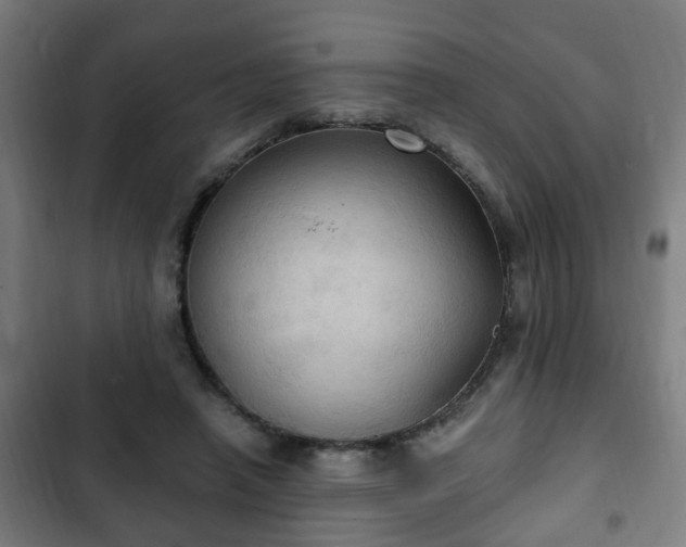X0000103130450200808291320