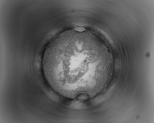 X0000103130451200808291320