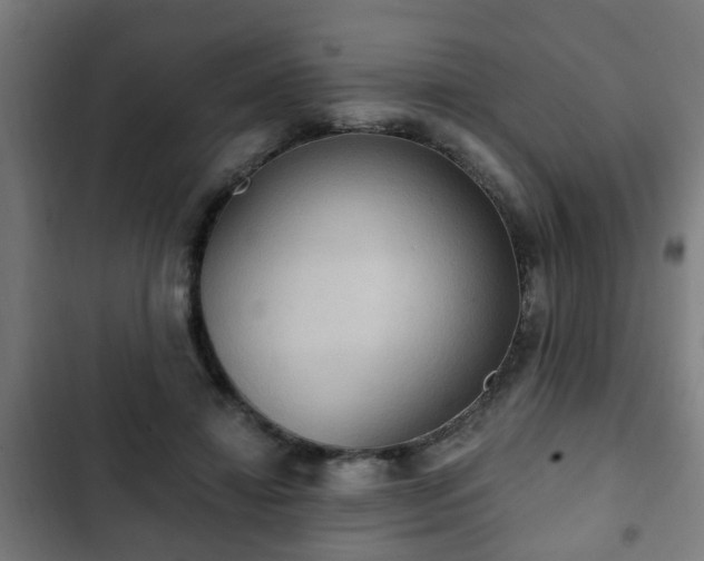 X0000103130452200808291320