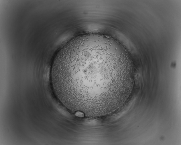 X0000103130454200808291320