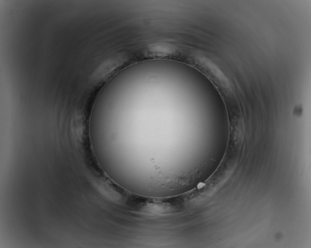 X0000103130455200808291320