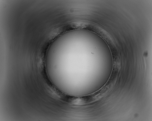 X0000103130460200808291320