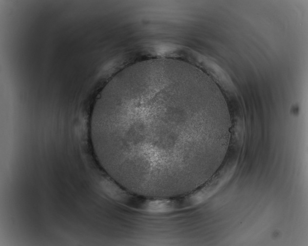 X0000103130461200808291320