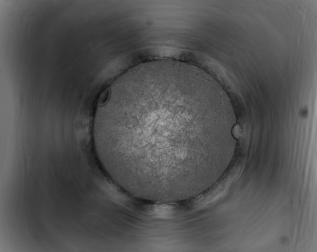X0000103130462200808291320
