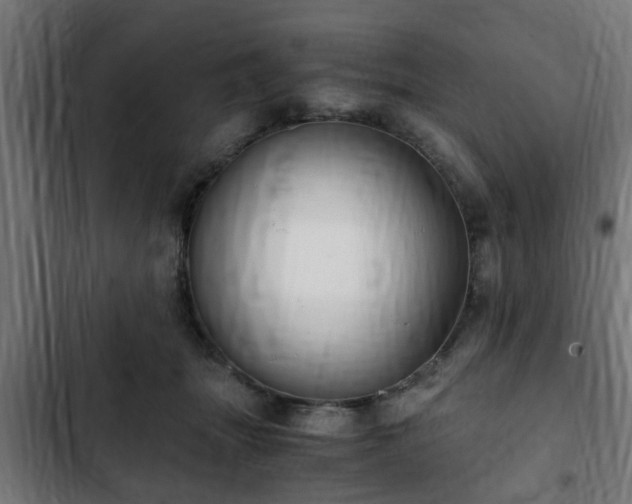X0000103130463200808291320