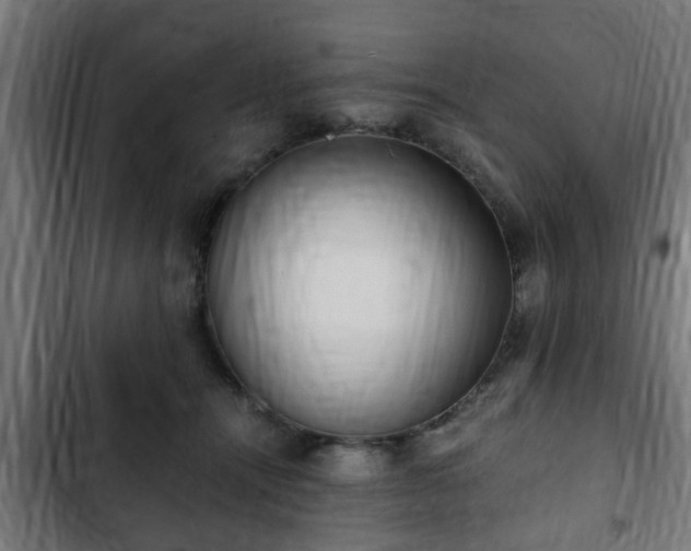 X0000103130464200808291320