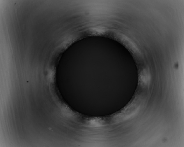 X0000103130468200808291320