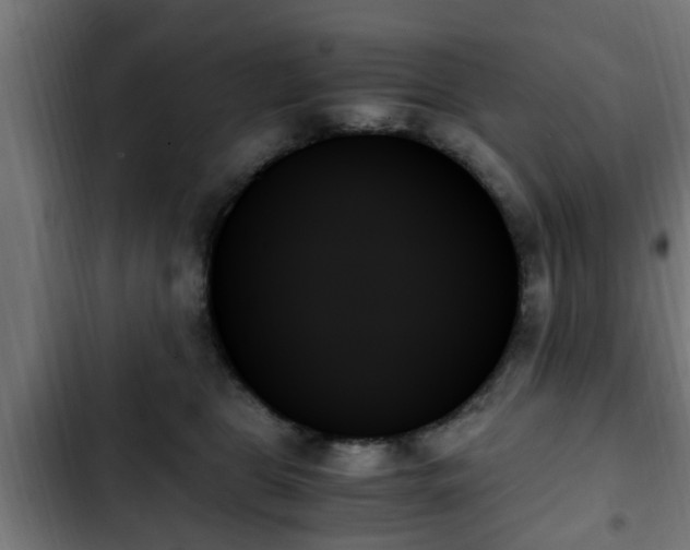 X0000103130469200808291320