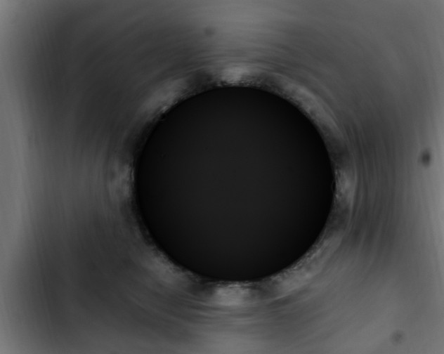 X0000103130470200808291320