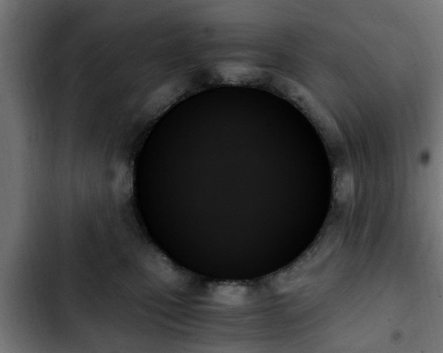 X0000103130471200808291320
