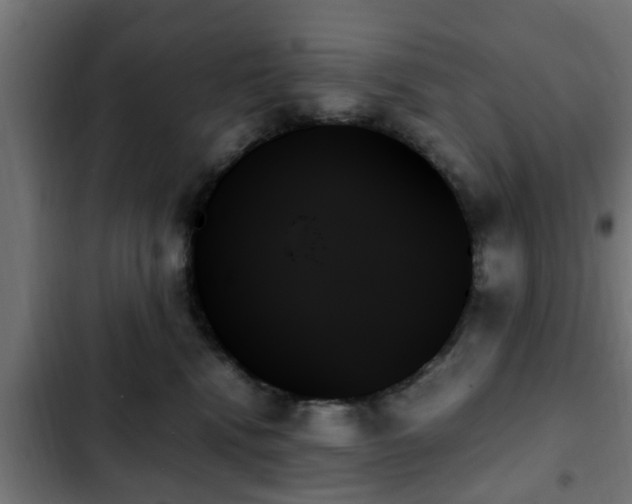 X0000103130472200808291320